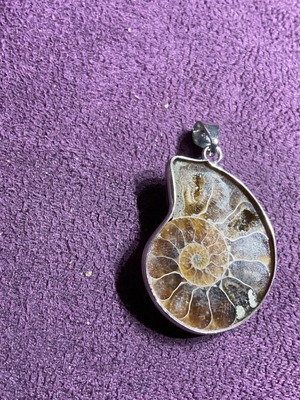 Ammonite pendant new