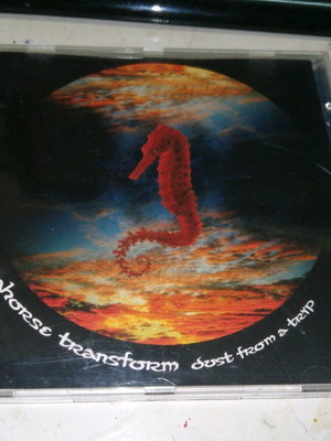 Chill Out Music CD Seahorse Transform Dust from the Trip like new