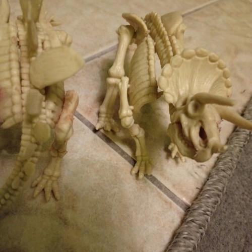 Dinosaur skeletons like new, set of 4 with Triceratops, Mammoth, Tyrannosaurus, Stegosaurus