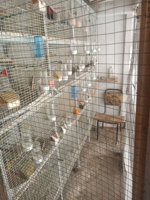 Large used bird cage with 4 floors and 6 wheels for birds