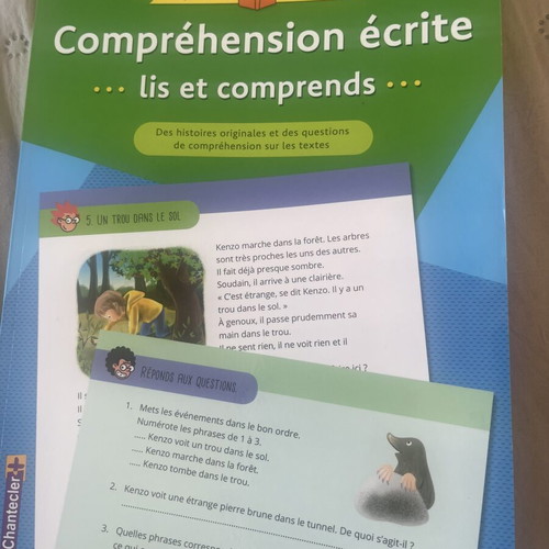 Comprehension Ecrite Workbook used for 3rd Grade French Reading