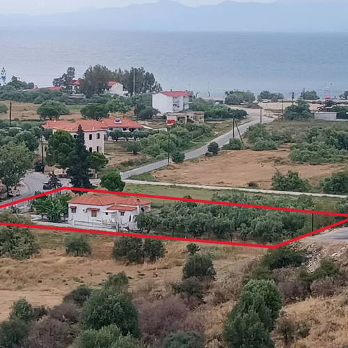 Detached house 75 m² with 40 olive trees and garden near sea in Paralio Astros