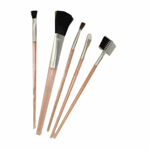 Makeup brush set 5 pcs new
