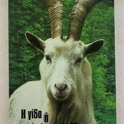 The Goat or Who Is Sylvia play program used
