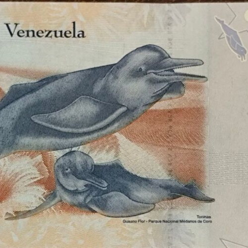 Venezuela 2 Bolivares Banknote 2012 like new