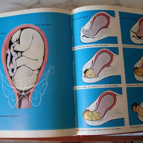 Dictionary of Human Anatomy 1963, new, Greek language