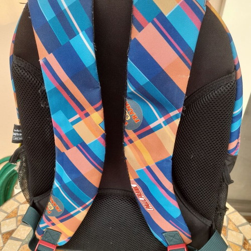 Paul Frank school backpack with multiple compartments