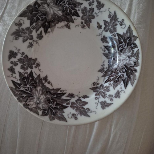 Vintage deep plate U&C Sarreguemines Bryonia