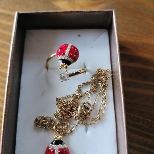 Ladybug jewelry set new, stainless steel ring and necklace