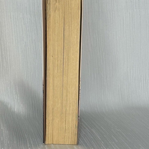 Lost Yesterday novel used