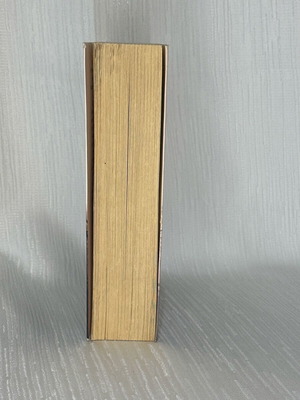 Lost Yesterday novel used