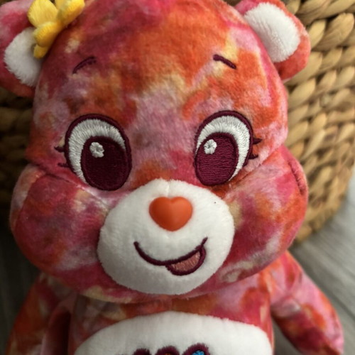 Care Bears Friend Bear plush like new, rare Tie-Dye edition