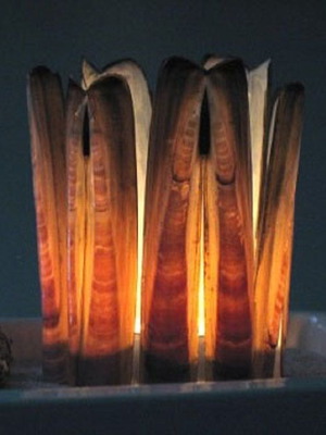 Double Ensis Shells pack of 10 new for crafts and decoration