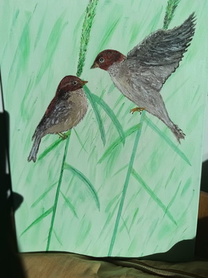 Painting Birds acrylic, new