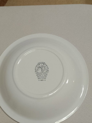 Richard Ginori Italian handmade dinnerware set 30 pieces like new