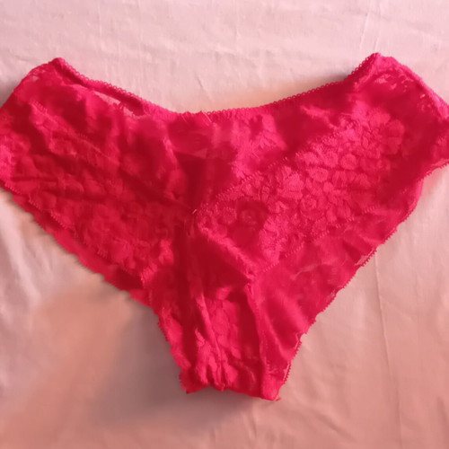 Brazilian lace red panties