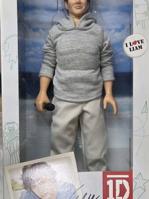 One Direction Liam Payne 12” Video Collection Doll new Hasbro