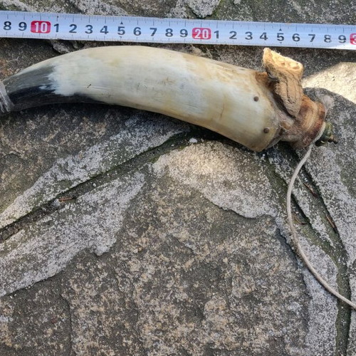 Powder horn used, condition as shown in photos