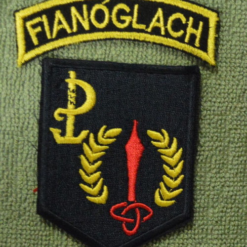 Irish Special Forces Patch new