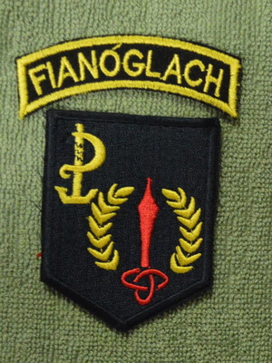 Irish Special Forces Patch new