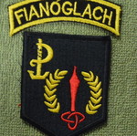 Irish Special Forces Patch new