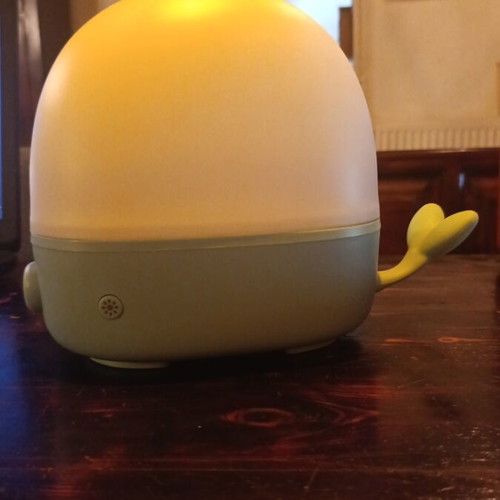 Aromatherapy Humidifier with LED Night Light, like new