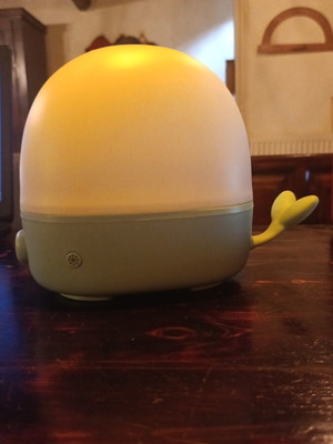 Aromatherapy Humidifier with LED Night Light, like new