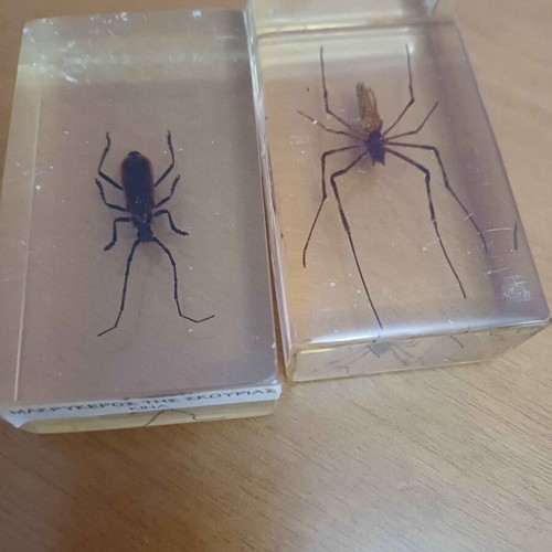 DeAGOSTINI complete insect collection, 85 insects