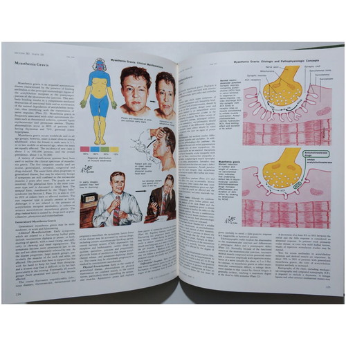The Ciba Collection of Medical Illustrations like new, Nervous system, Netter