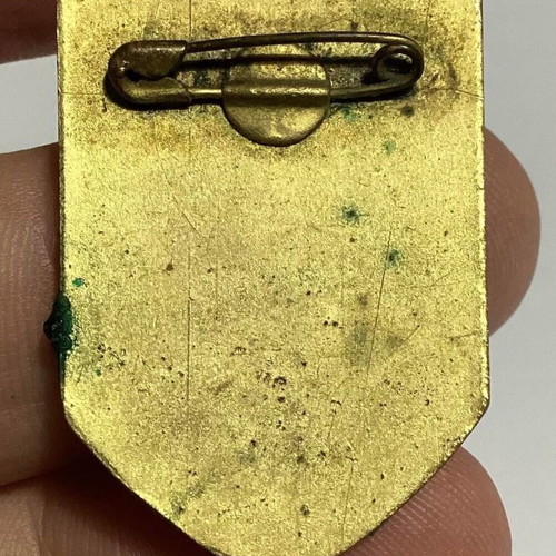 Rare French pin used