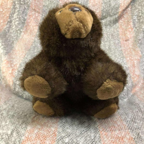 Plush teddy bear toy used, sound not working