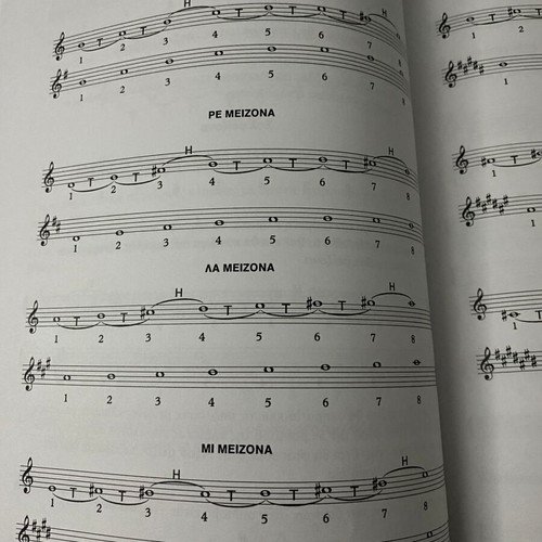 Music Theory Manual used, The Absolutely Essential with 2 Notebooks