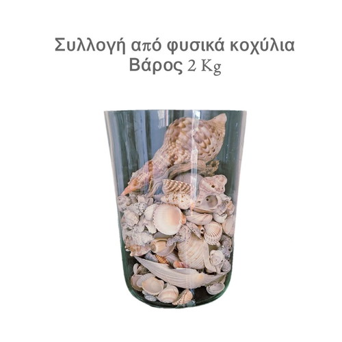 Collection of natural seashells like new, 2 kg with vase