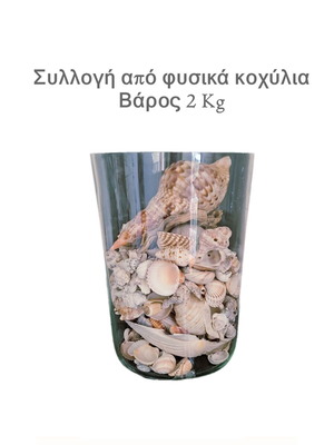 Collection of natural seashells like new, 2 kg with vase
