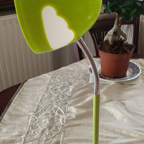 Desk lamp new with flexible neck