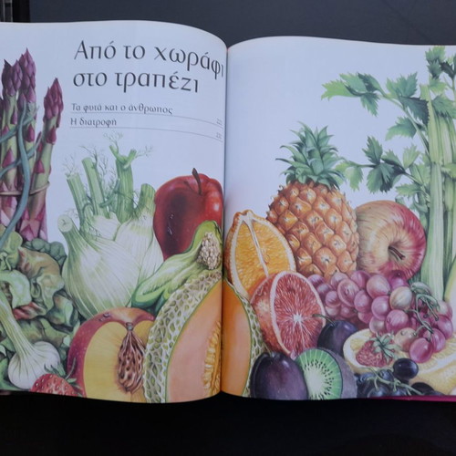 Book The World of Plants like new, large with thick cover
