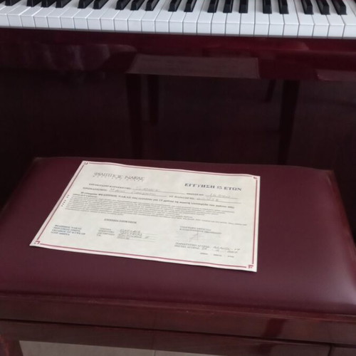 Philippos Nakas piano mahogany glossy with stool