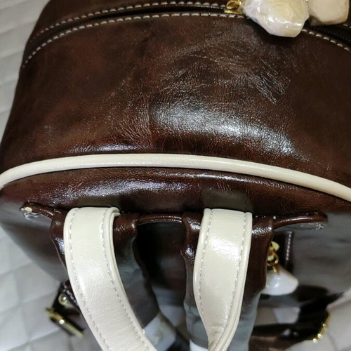 Pack back brown backpack new