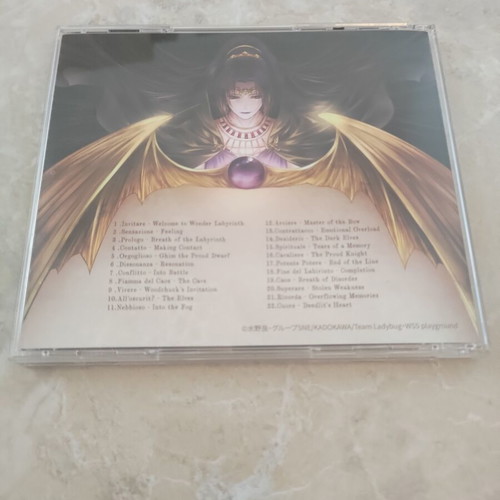Record of Lodoss War Deedlit in Wonder Labyrinth Nintendo Switch game like new with artbook and OST CD