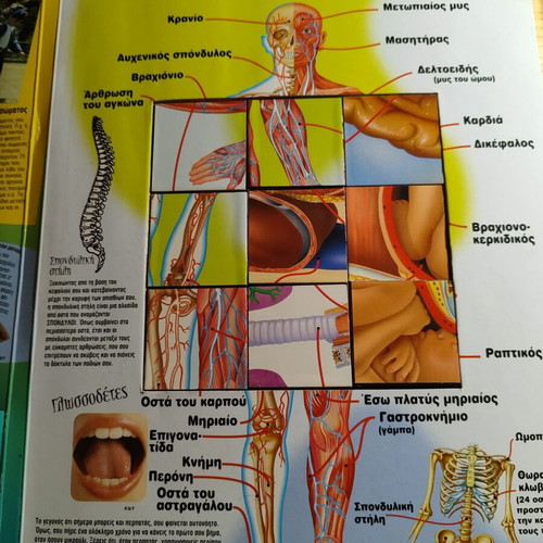 The Body Book with Cubes used, educational children's book in Greek