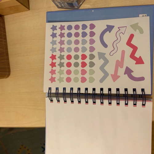 Tiger Agenda Planner like new missing some months and stickers