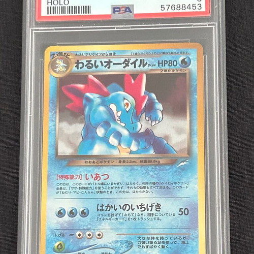 Pokémon card Feraligatr (N4) Darkness and to Light used