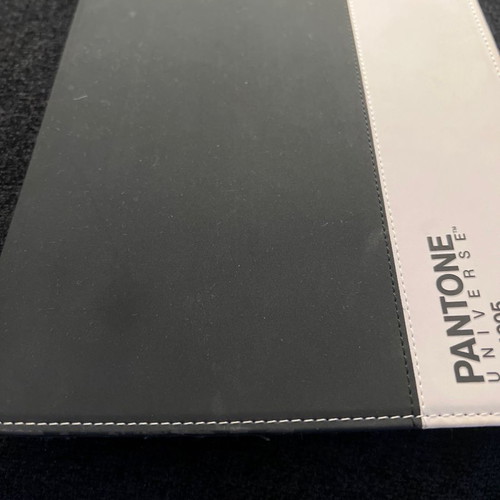 Pantone iPad case new