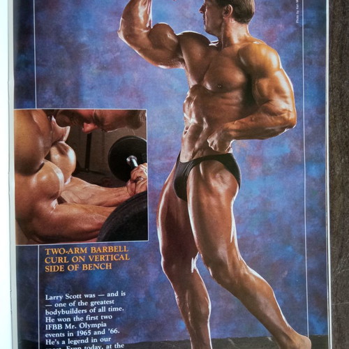 Muscle & Fitness issue 11 used