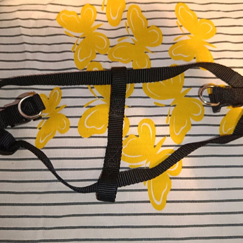 Dog harness like new, small to medium size