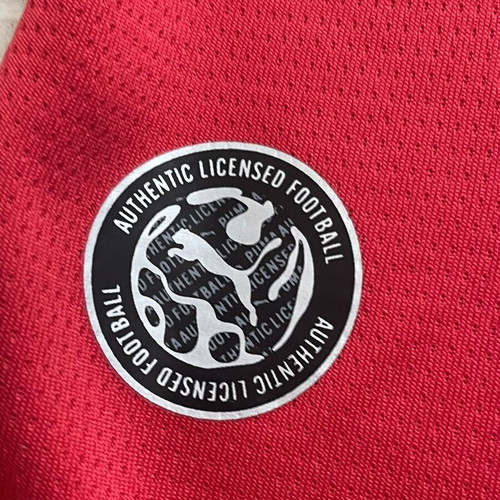 Morocco Jersey 25/26 Size M New Official Replica