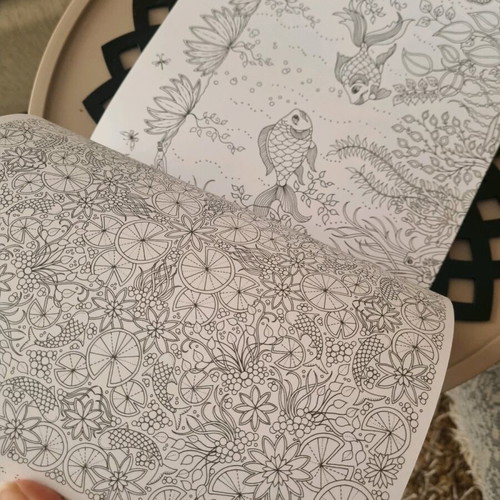 Secret Garden Coloring Book like new