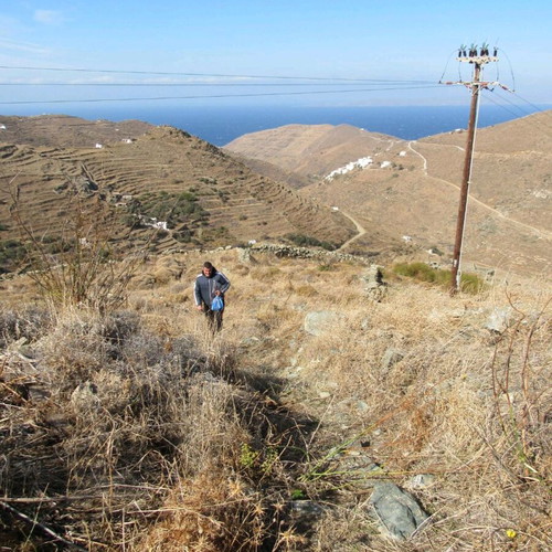 Land 6,500 sqm in Serifos with small-scale permit and sea view