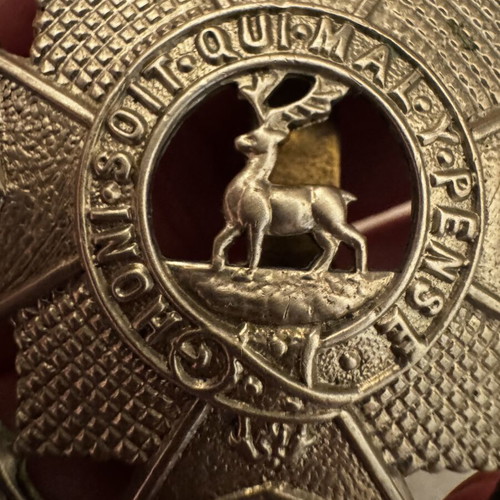 British Army Bedfordshire and Hertfordshire Regiment Cap Badge like new