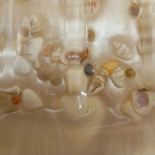 Soap dish with shells new